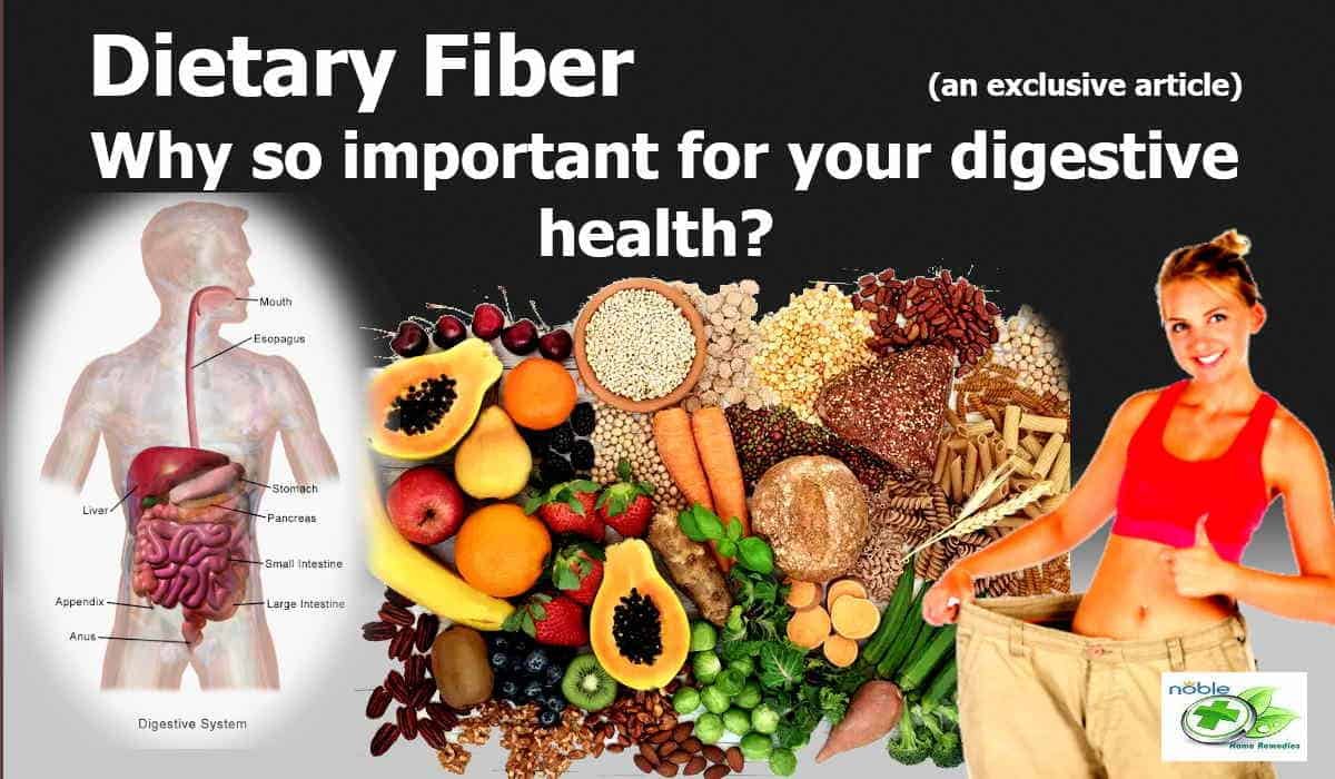 Fiber for Digestive Health: 5 Great Benefits for Healthy Lifestyle