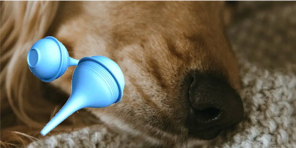  nasal aspirator to unclog dog stuffy nose congestion