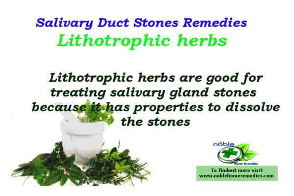 Salivary Duct Stones Home Remedies - Sialolithiasis Lithotrophic herbs - Salivary Duct Stones Home Remedies - Sialolithiasis