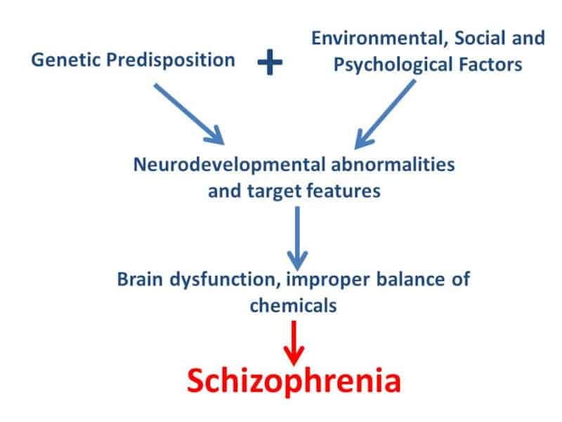 Formation od Schizophrenia flowchart