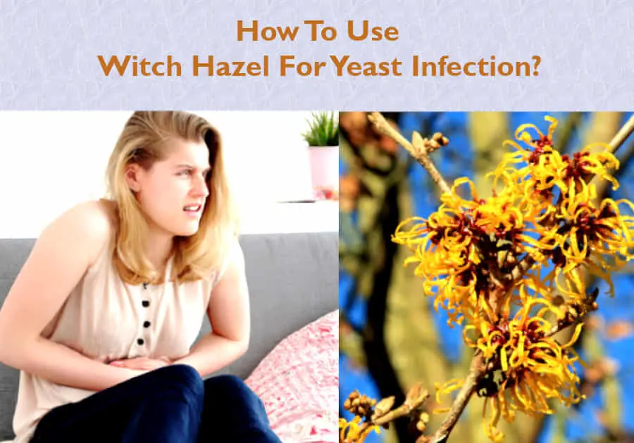 how to use witch hazel for yeast infection