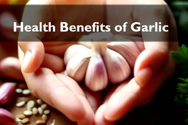health benefits of garlic