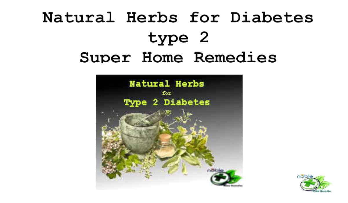 Top 8 Natural Herbs for Diabetes type 2 - Remedies