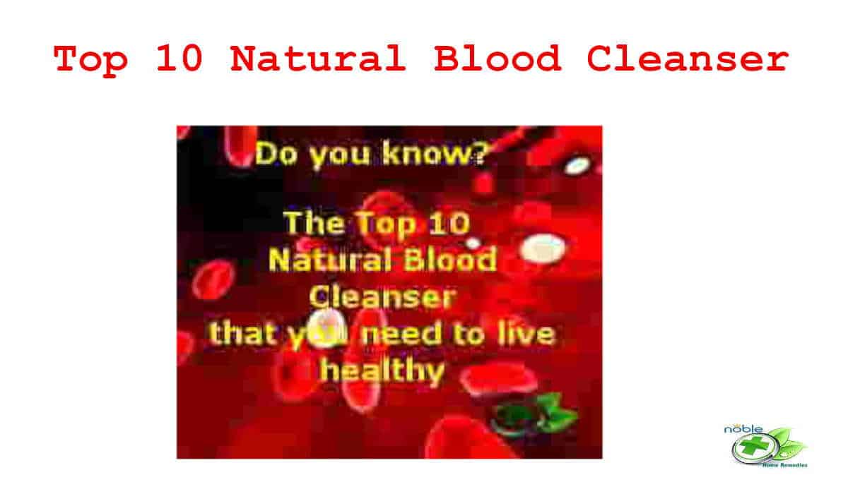 Top 10 Natural Blood Cleansers To Purify Your System