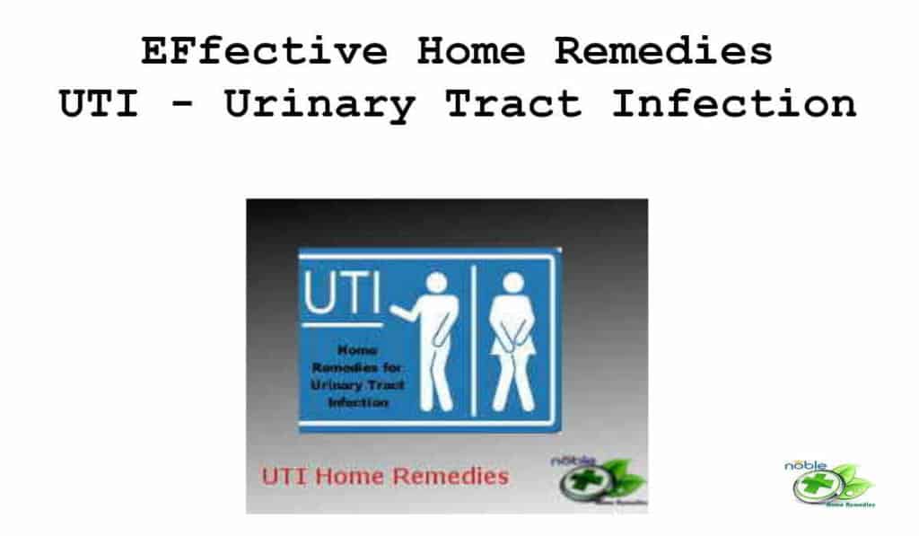 Natural Antibiotics For Uti